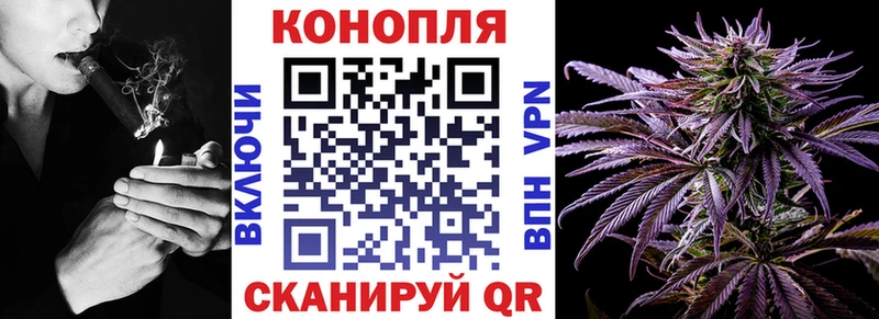 МЕФ Прокопьевск
