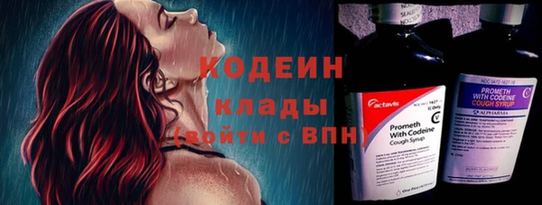 ешки Ельня