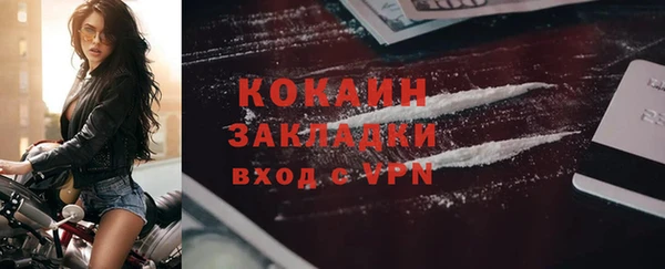 соль ск Дмитровск