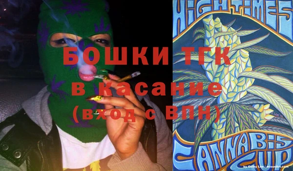 ешки Ельня
