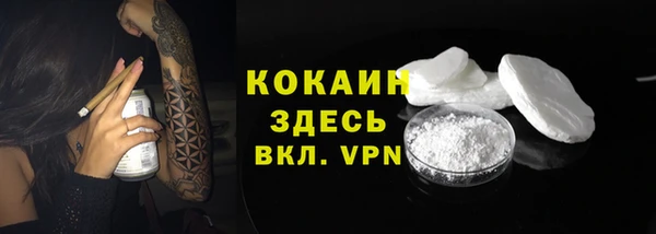 ешки Ельня