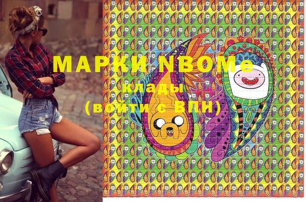 ешки Ельня